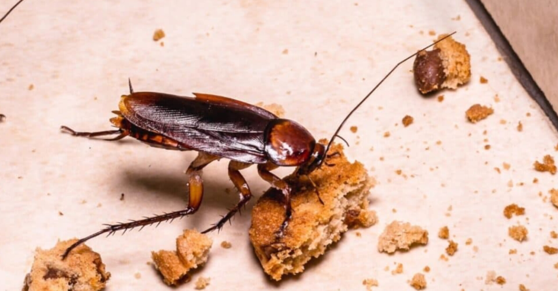 InShot 20250718 080609382